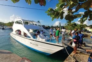 Excursión a Isla Catalina